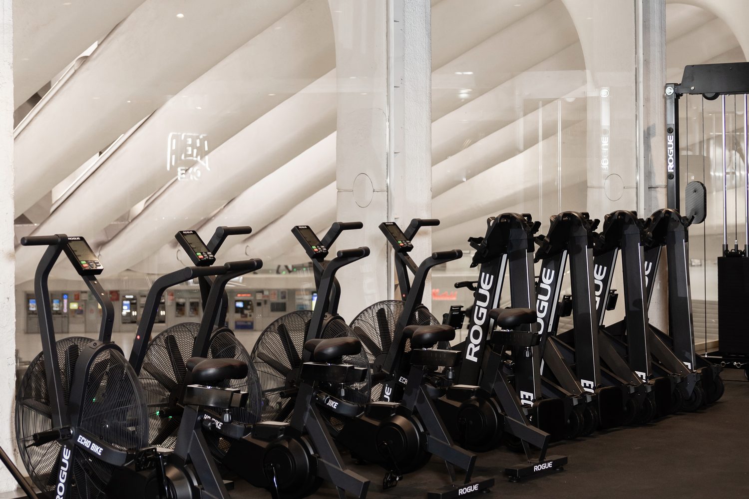 The cardio row on the GÜDSPORT floor, against the white ribs of the Oculus.